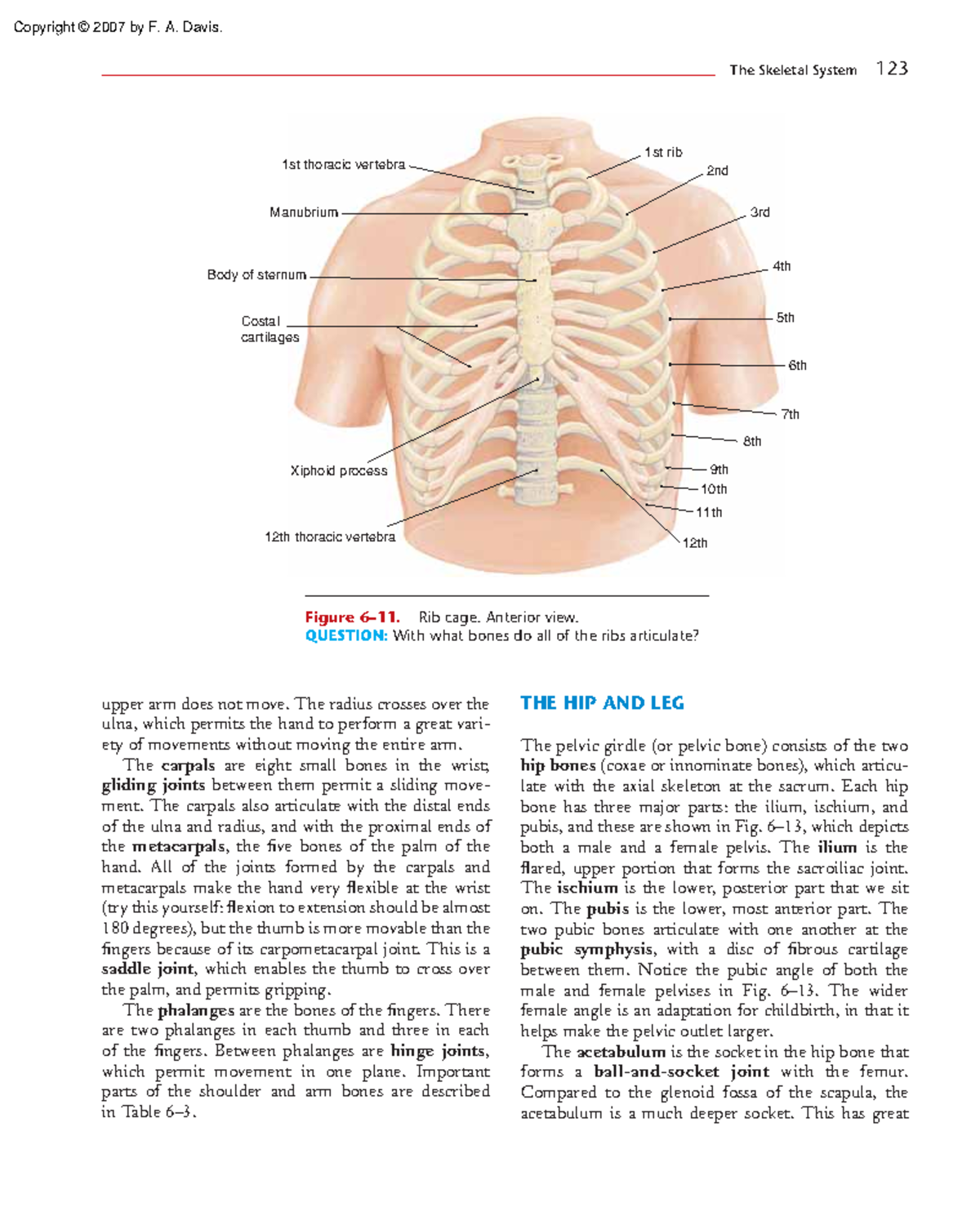 Essentials of Anatomy and Physiology 150 - upper arm does not move. The ...