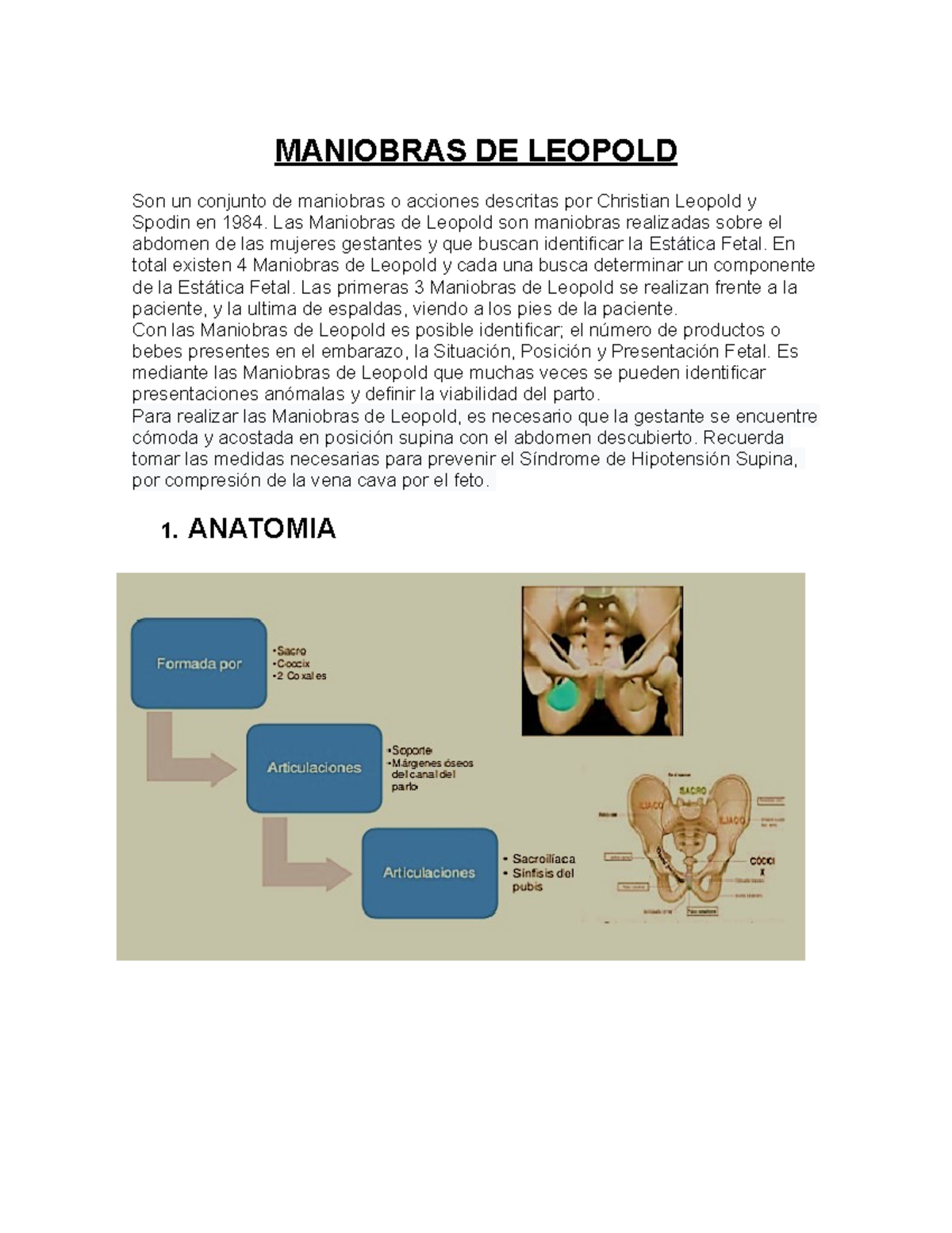 Maniobras De Leopold Maniobras De Leopold Son Un Conjunto De Maniobras O Acciones Descritas 5618