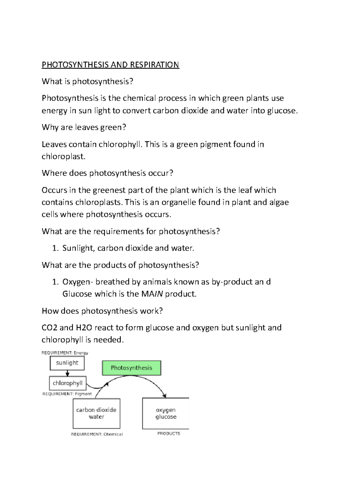 photosynthesis-how-do-plants-feed-photosynthesis-and-respiration