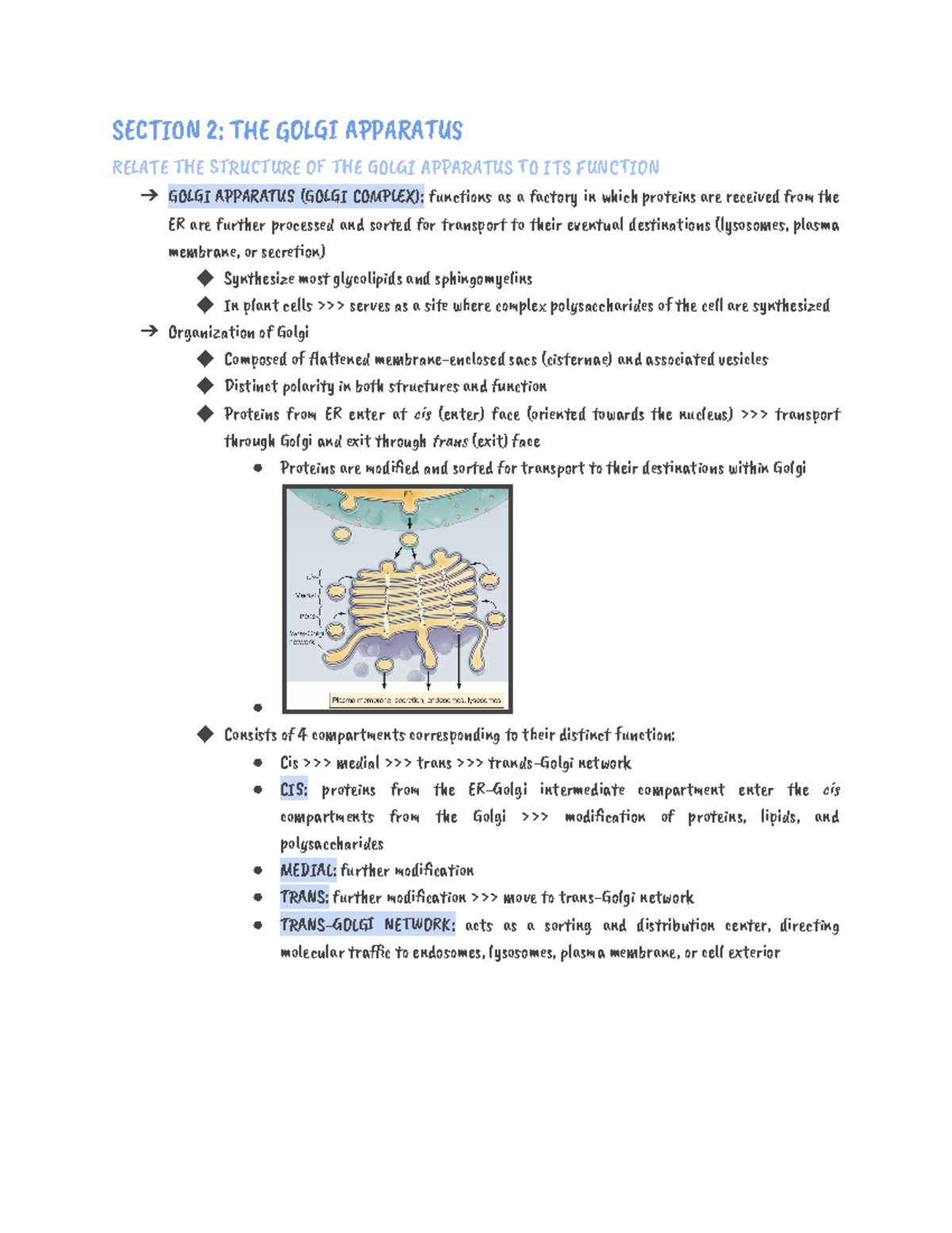Chapter 12 - Protein Sorting and Transport - SEãåĂăN 2: èăE GĄĊąā ...