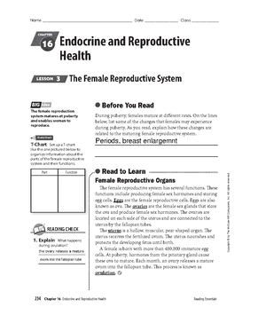 Ch.16 L.3The Female Reproductive System Resource Packet 16