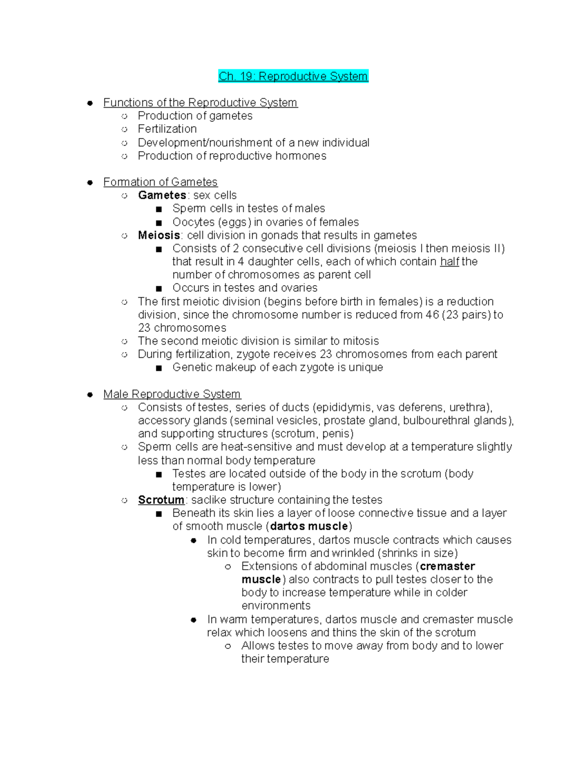 Seeley's Essentials of Anatomy & Physiology Chapter 19 Ch. 19 Reproductive System Functions