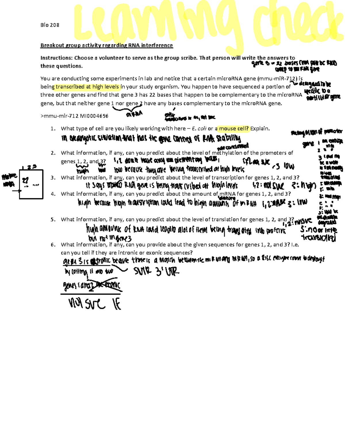 RNAi+activity+ - bio - ####### Bio 208 ####### Breakout group activity ...