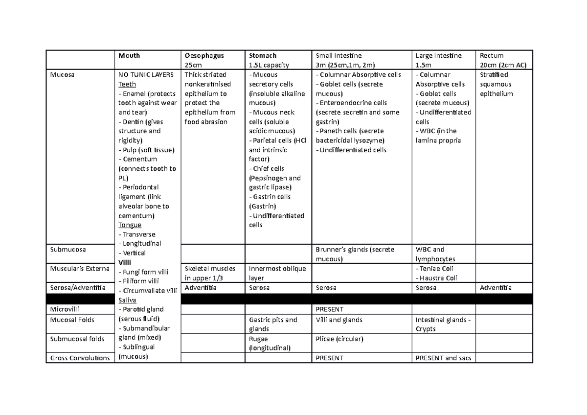 Digestive system overview - Mouth Oesophagus 25cm Stomach 1 capacity ...