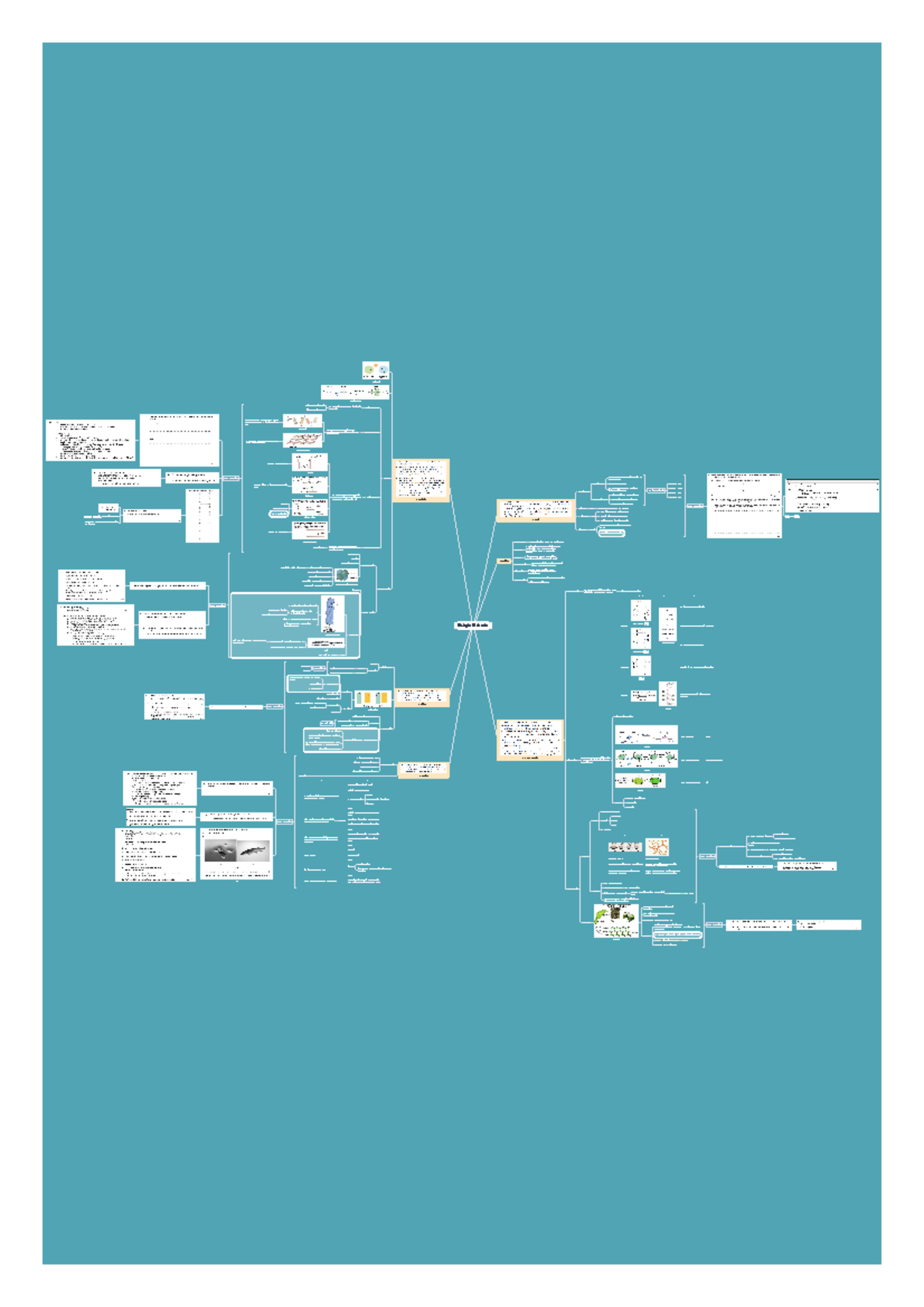 Biological Molecules quick notes - Ring Structure Straight chain ...