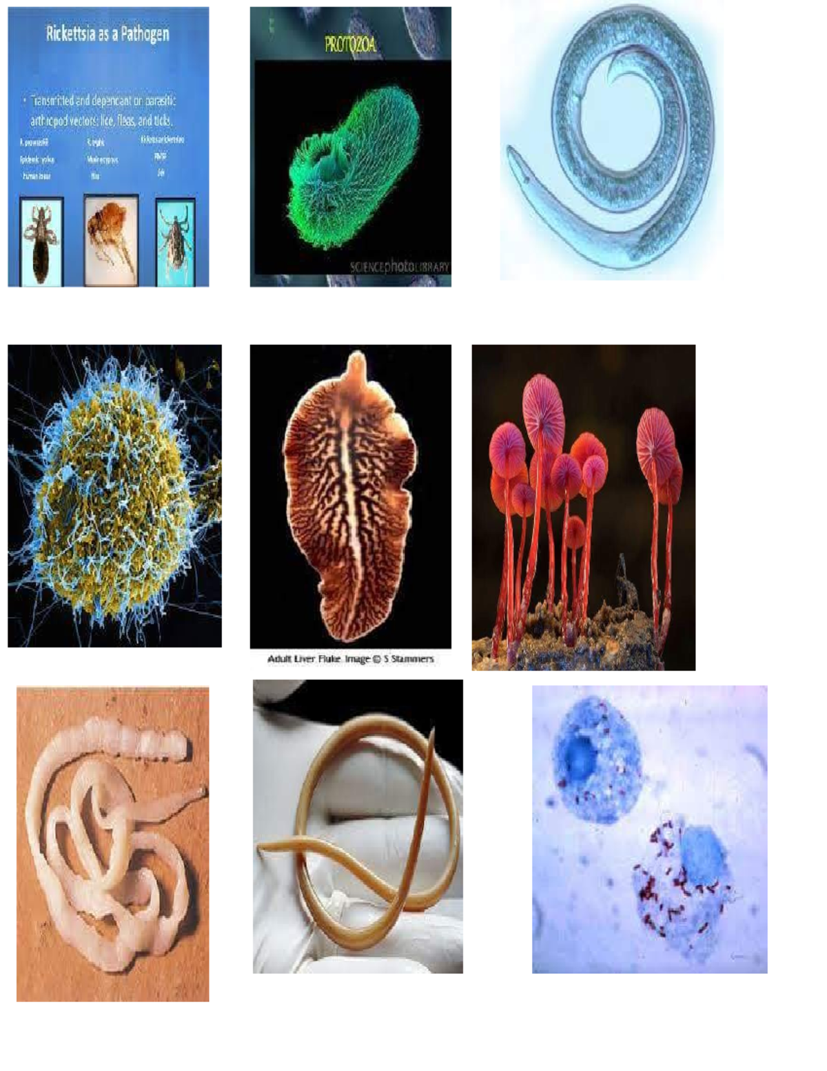 Doc2 - Notes - science, technology, engineering and mathematics ...