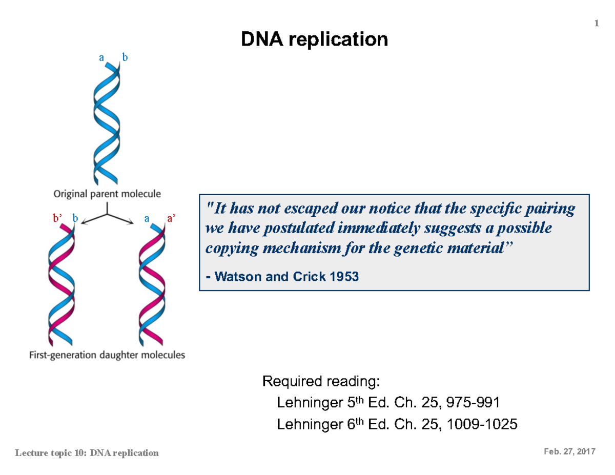 dna replication essay pdf