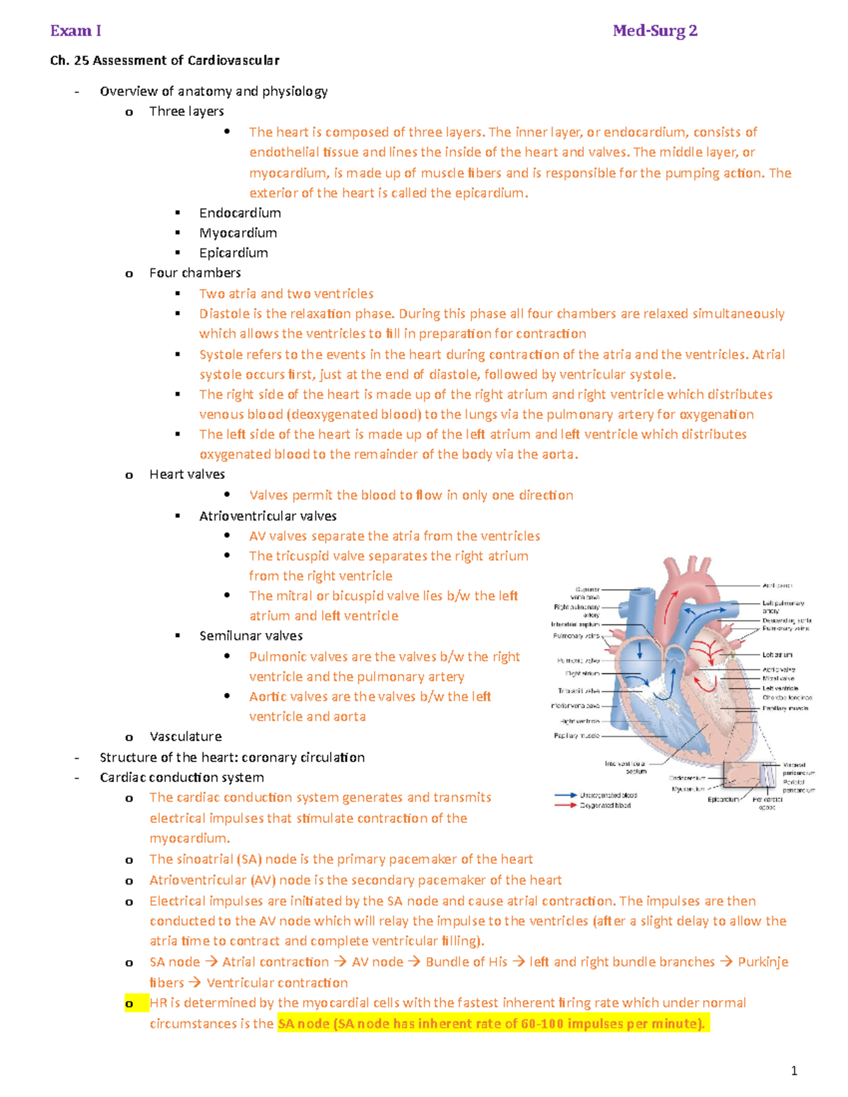 Exam 1 Study Guide - Ch. 25 Assessment of Cardiovascular Overview of ...