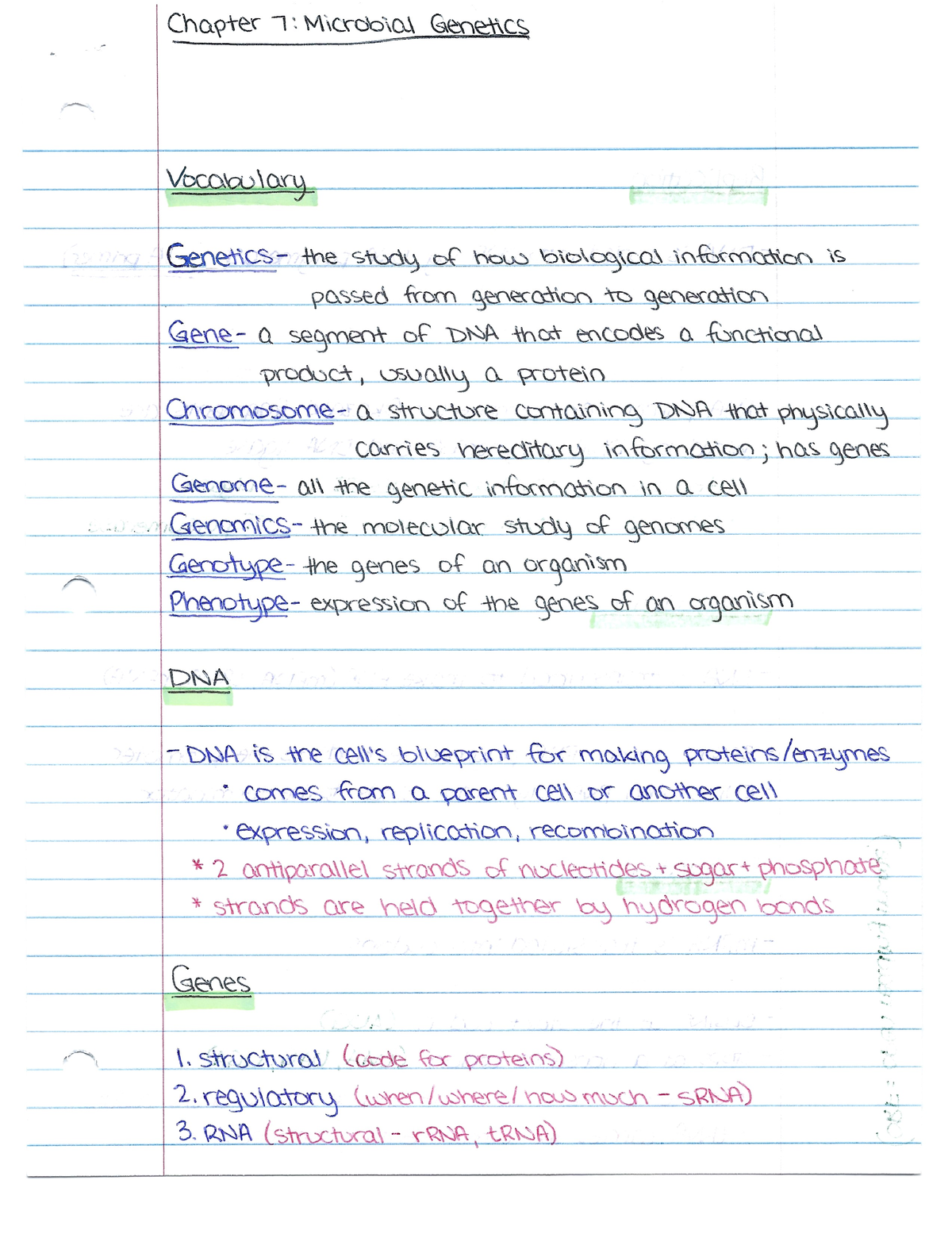 OCC BIO 2710 - Chapter 7 - BIO 2710 - Studocu