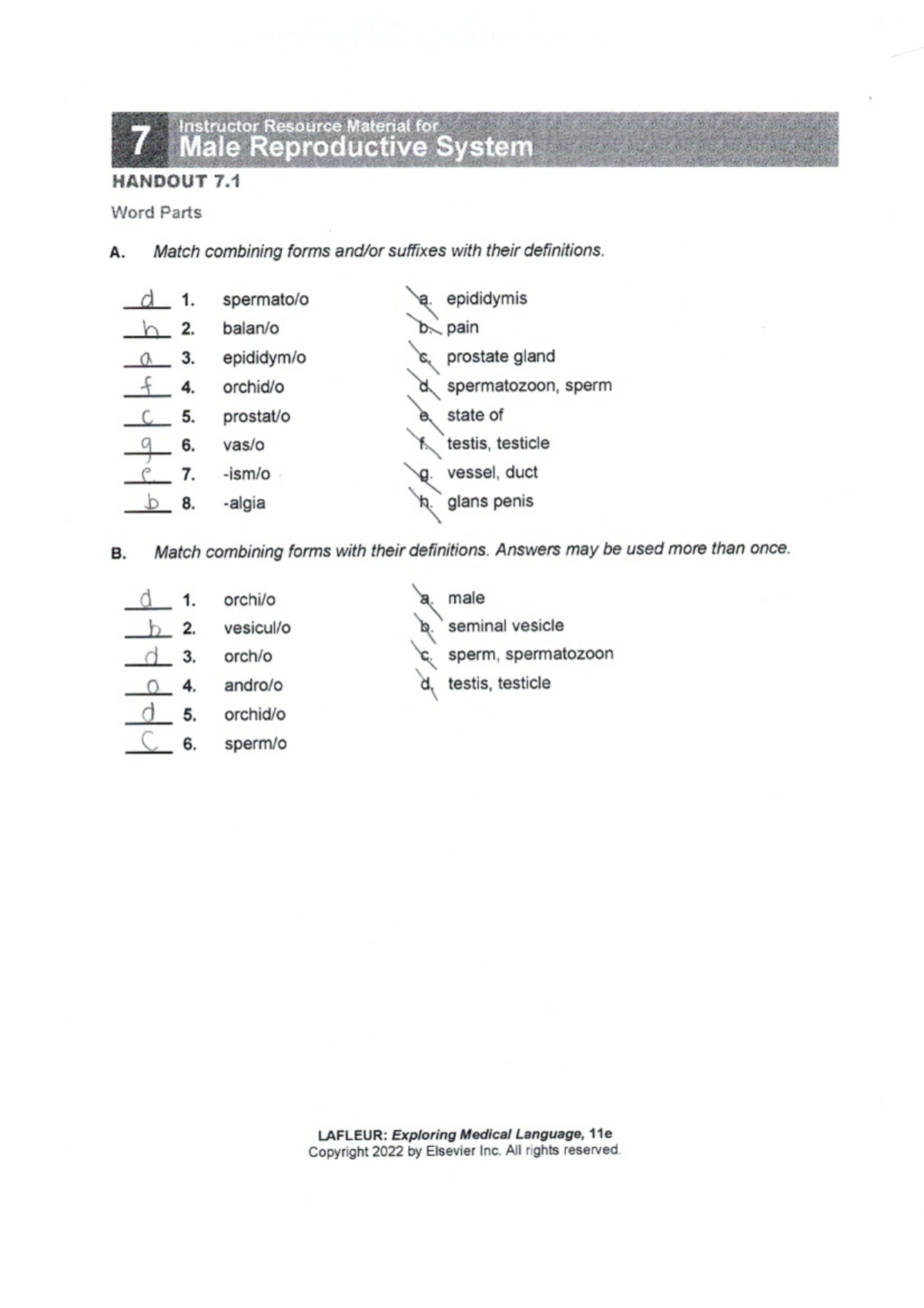 medical terminology chapter 7 homework