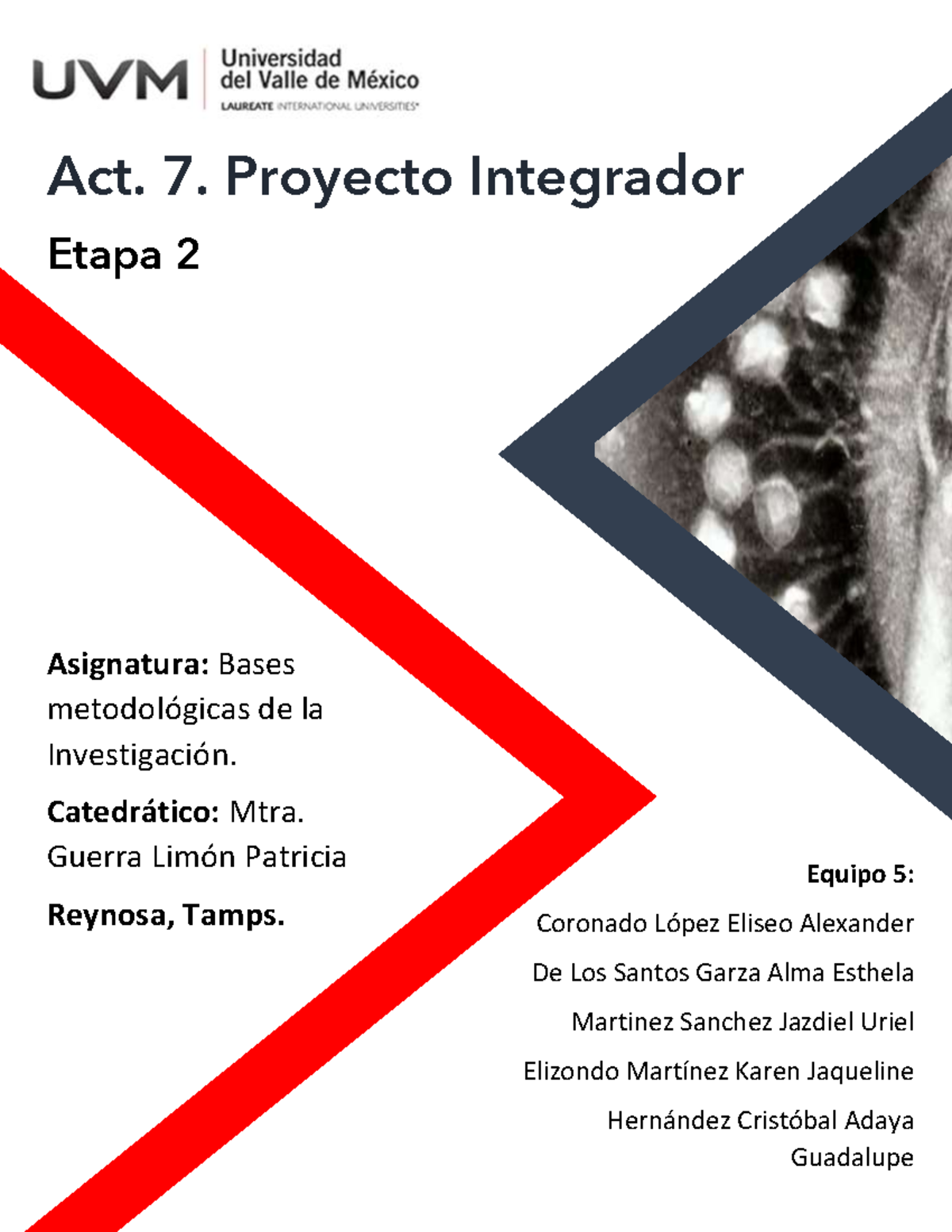 Proyecto Integrador Etapa 2 Act 7 Proyecto Integrador Etapa 2