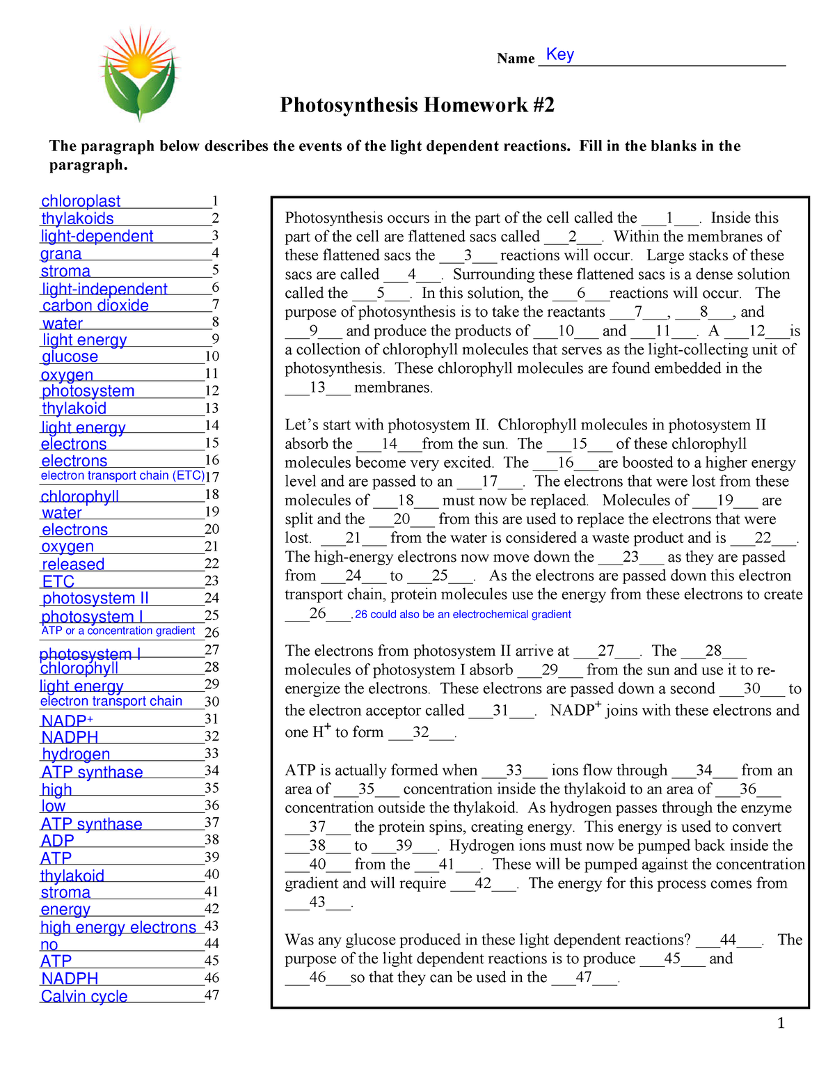 photosynthesis homework