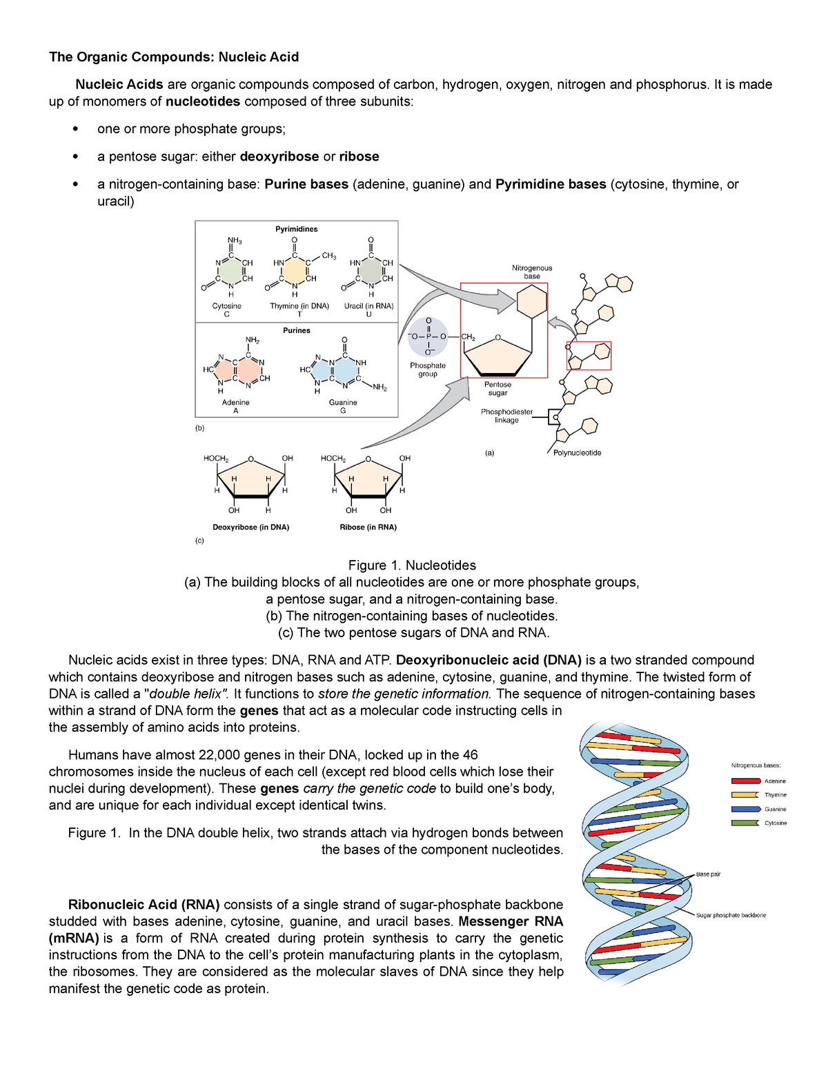 nucleic acid assignment