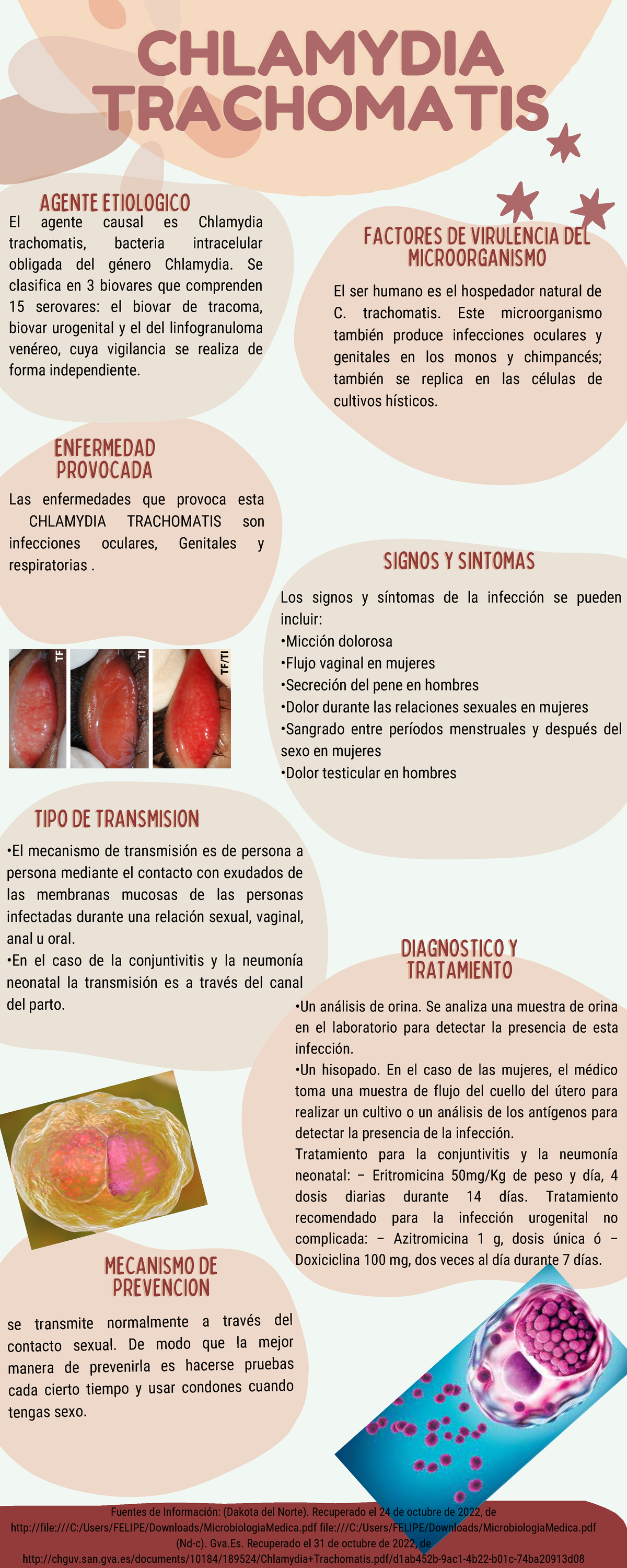 chlamydia-trachomatis-diagnostico-ydiagnostico-y