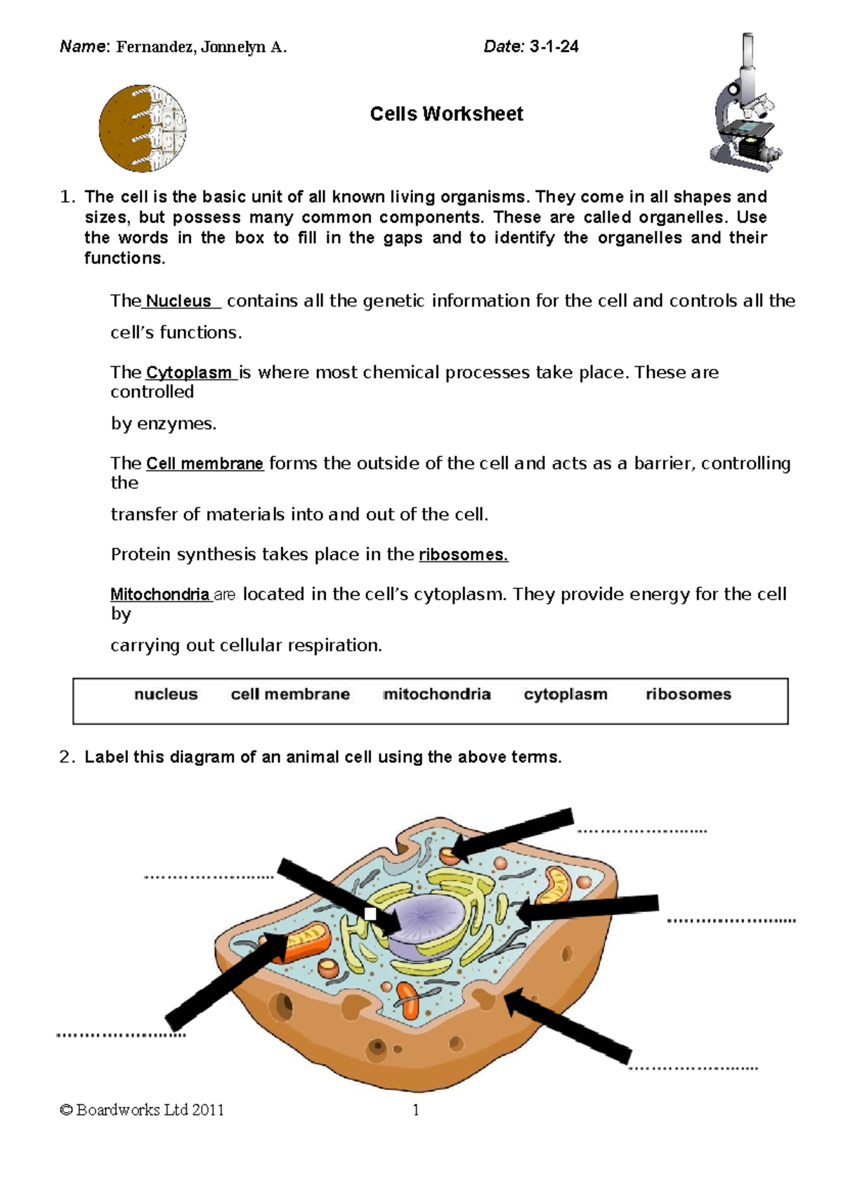 Task 2 Exploring Cell Parts and Functions - Cells Worksheet The cell is ...