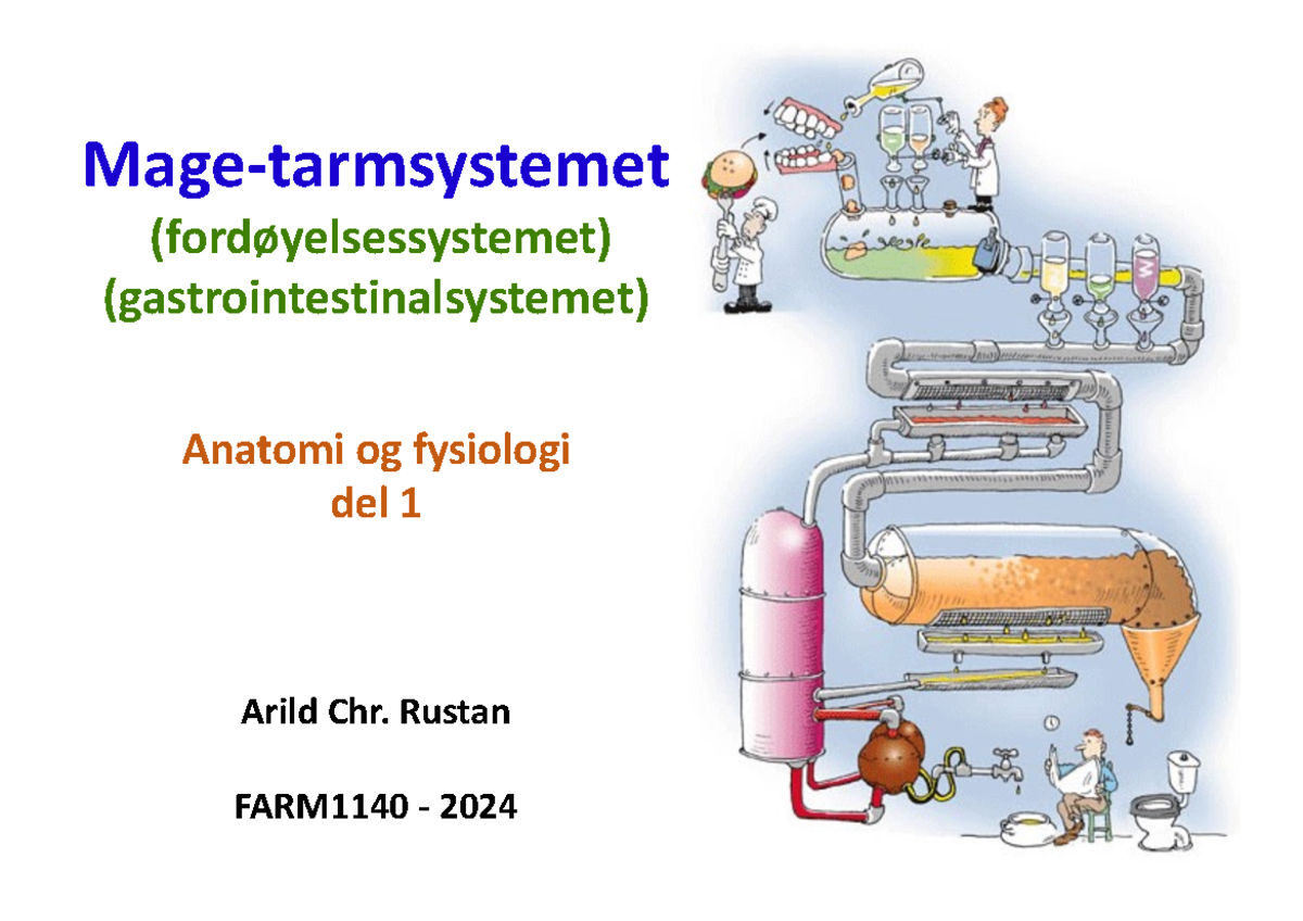 GI - Anatomi Og Fysiologi Del 1-2024 - Mage-tarmsystemet ...