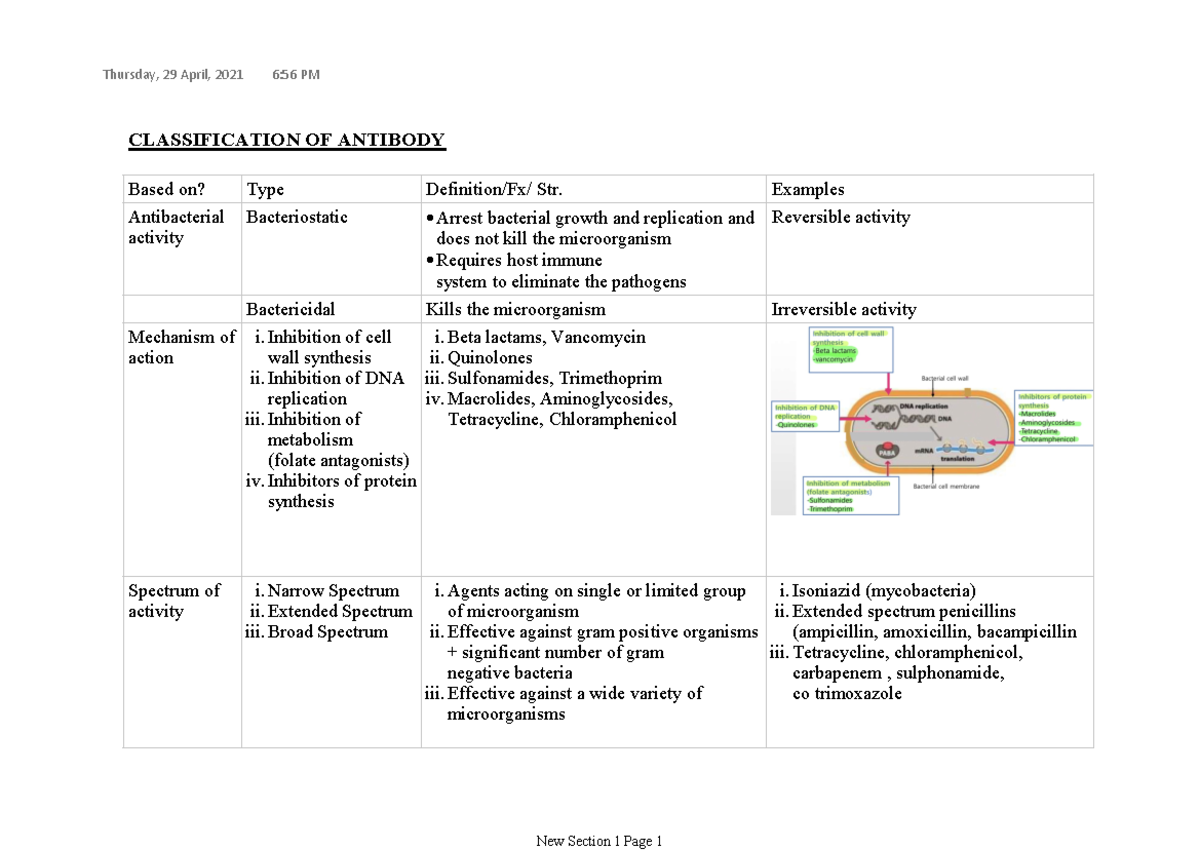 (CL9) Antibiotics Notes CLASSIFICATION OF ANTIBODY Based on? Type
