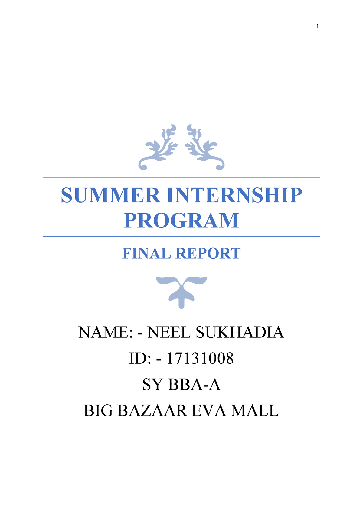 SIP Final Report BB-converted - SUMMER INTERNSHIP PROGRAM FINAL REPORT ...