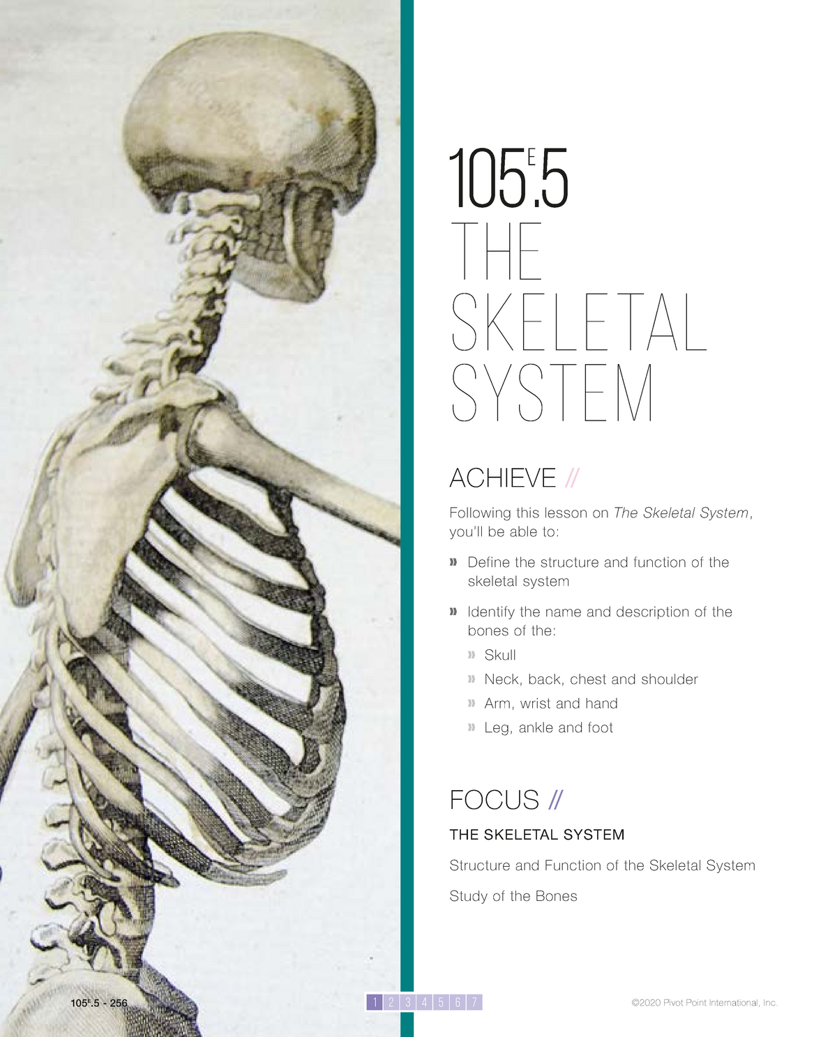 21E 21 Smart Notes - ACHIEVE // ####### Following this lesson on Throughout Skeletal System Labeling Worksheet Pdf