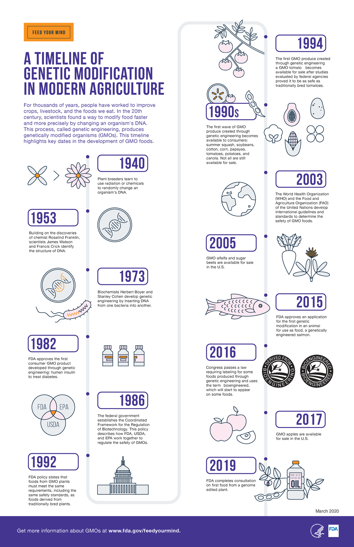 Producing Insulin from genetically modified bacteria.