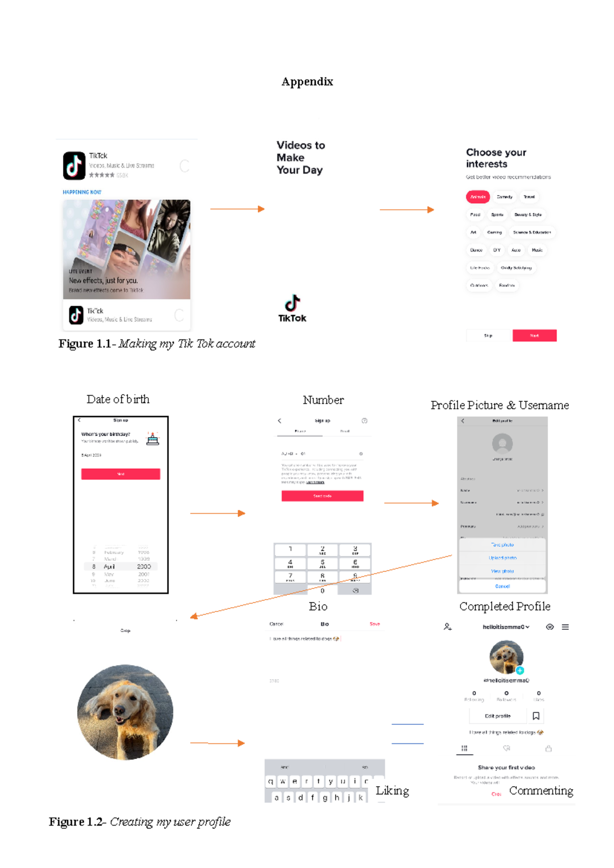Results Social media A2 Appendix Figure 1 Making my Tik Tok account Date of birth Number