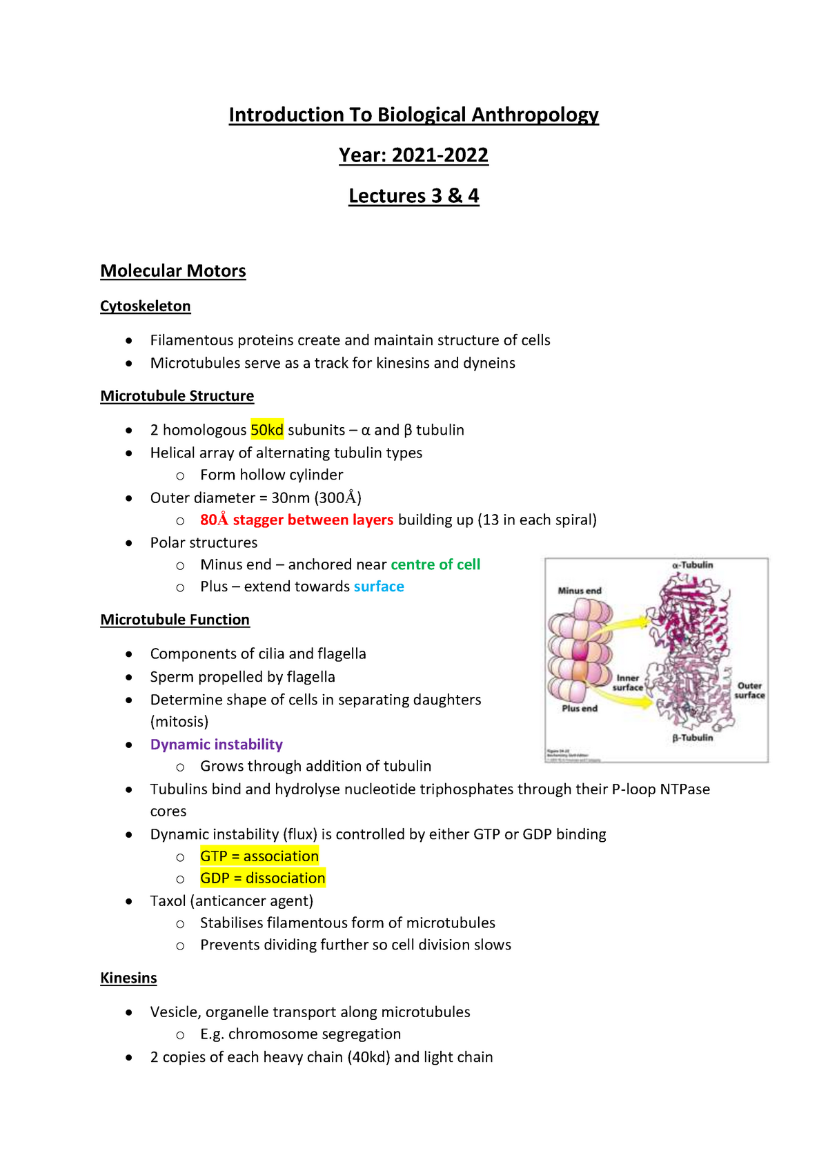 Introduction To Biological Anthropology 20212022 Lectures 3and4 ...