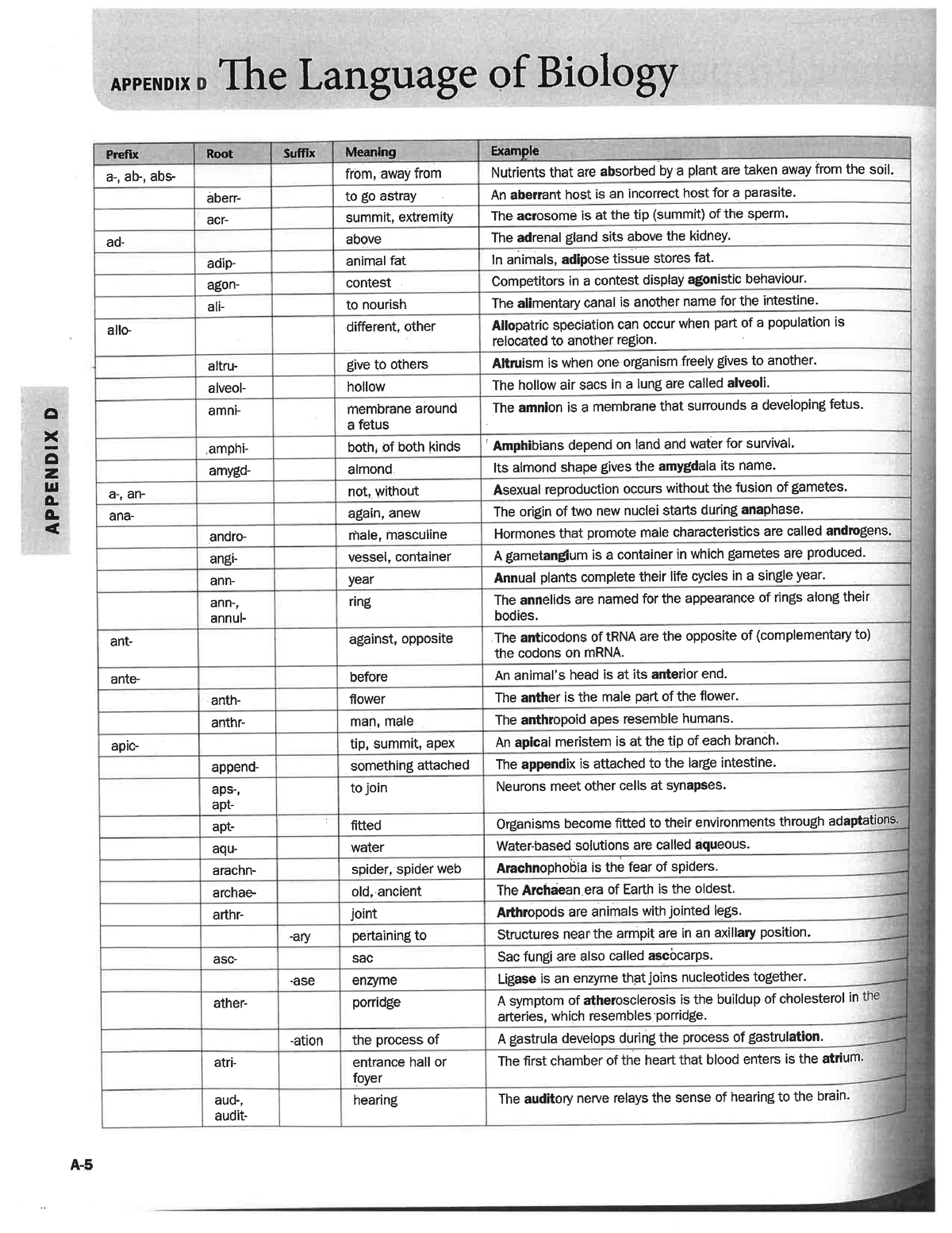 biology roots for vocabulary assignments