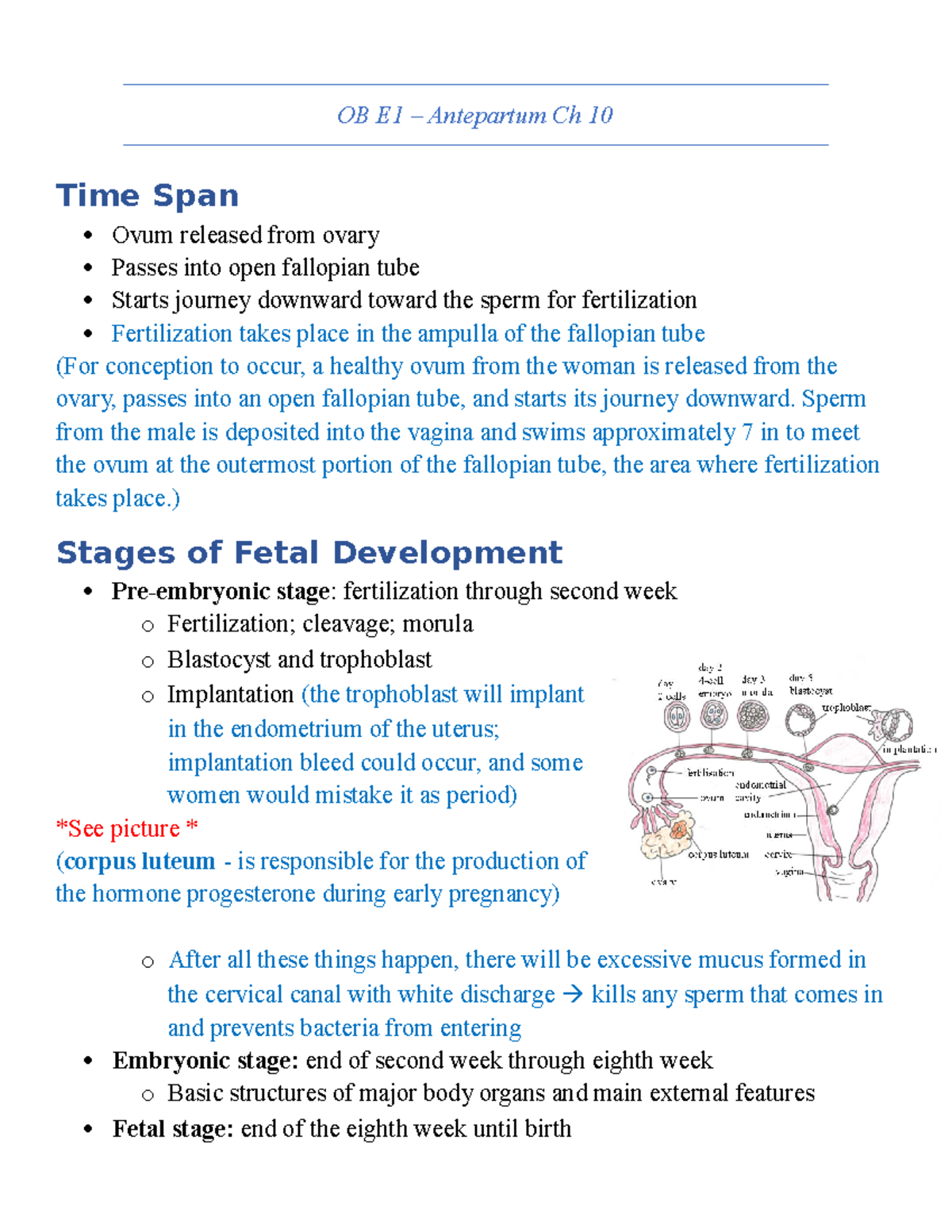 ob-e1-normal-pregnancy-ob-e1-antepartum-ch-10-time-span-ovum