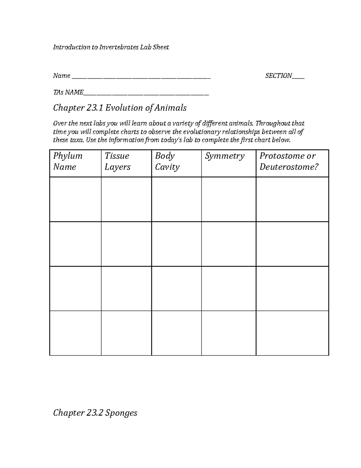 FA16 Student Sponges Lab Sheet - Introduction to Invertebrates Lab ...