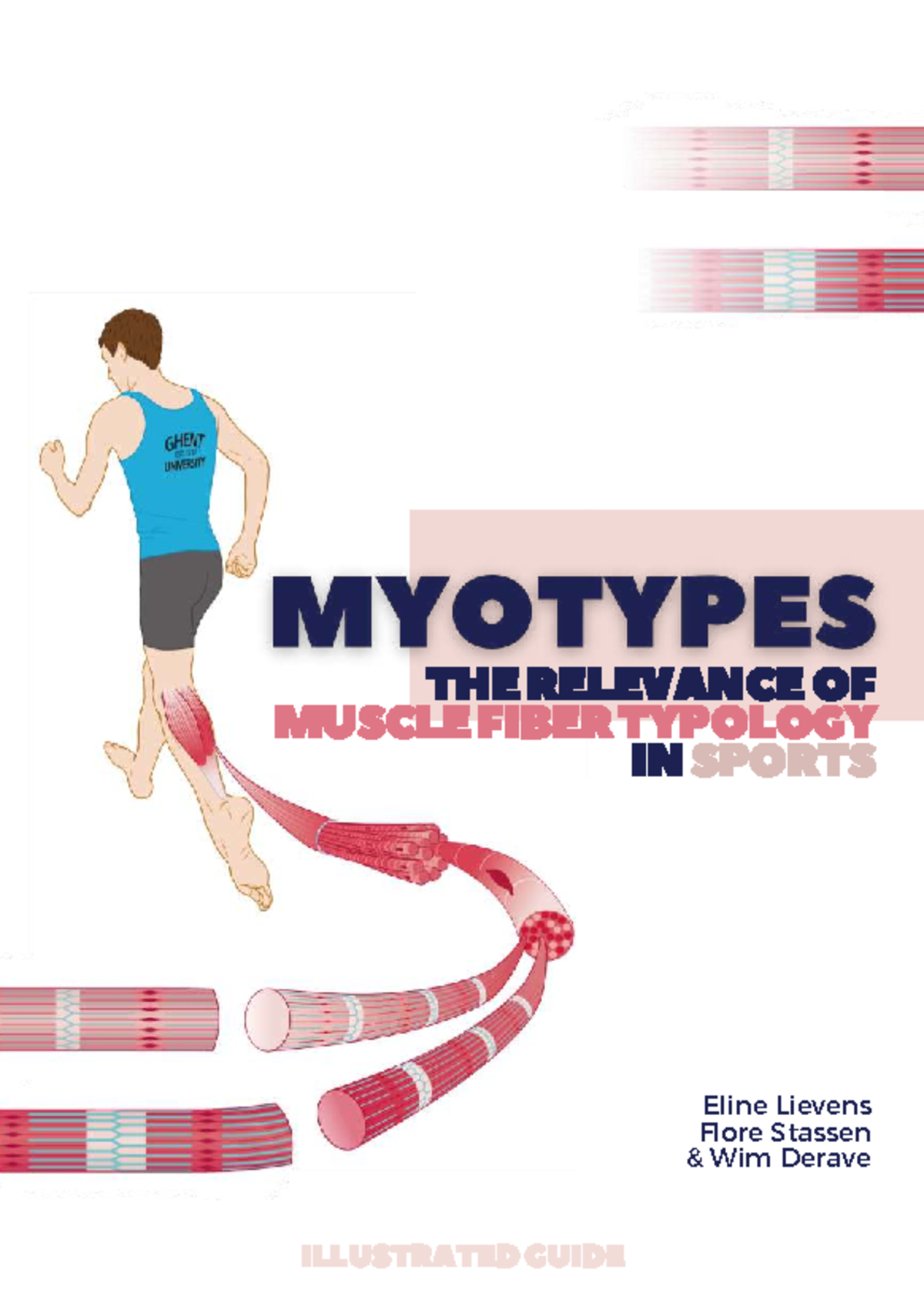 illustrated-guide-myotypes-the-relevance-of-muscle-fiber-typology-in