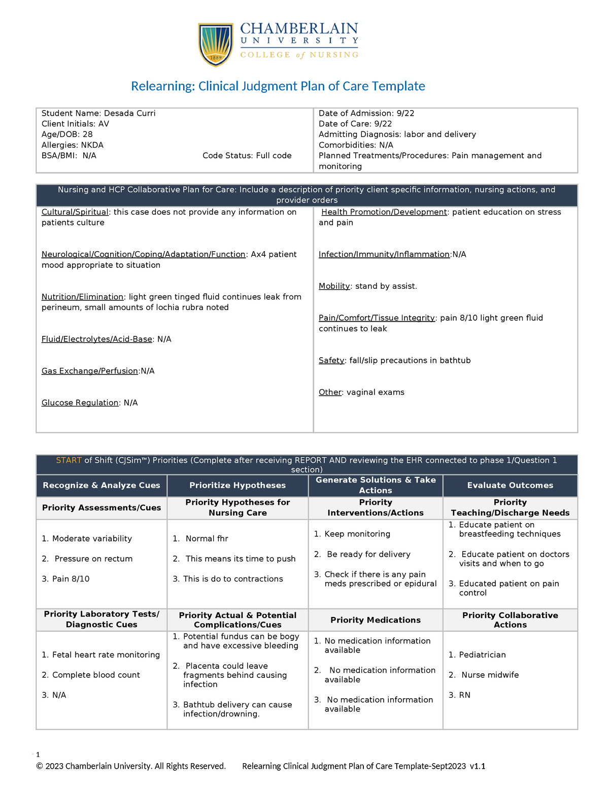 Relearning Clinical Judgment Plan of Care Template Sept23 4) - Student ...
