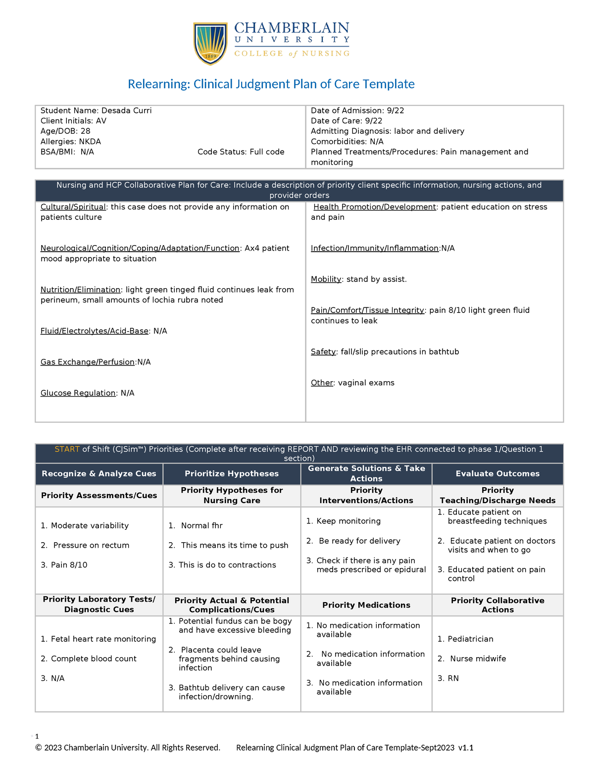 Relearning Clinical Judgment Plan of Care Template Sept23 4) Student