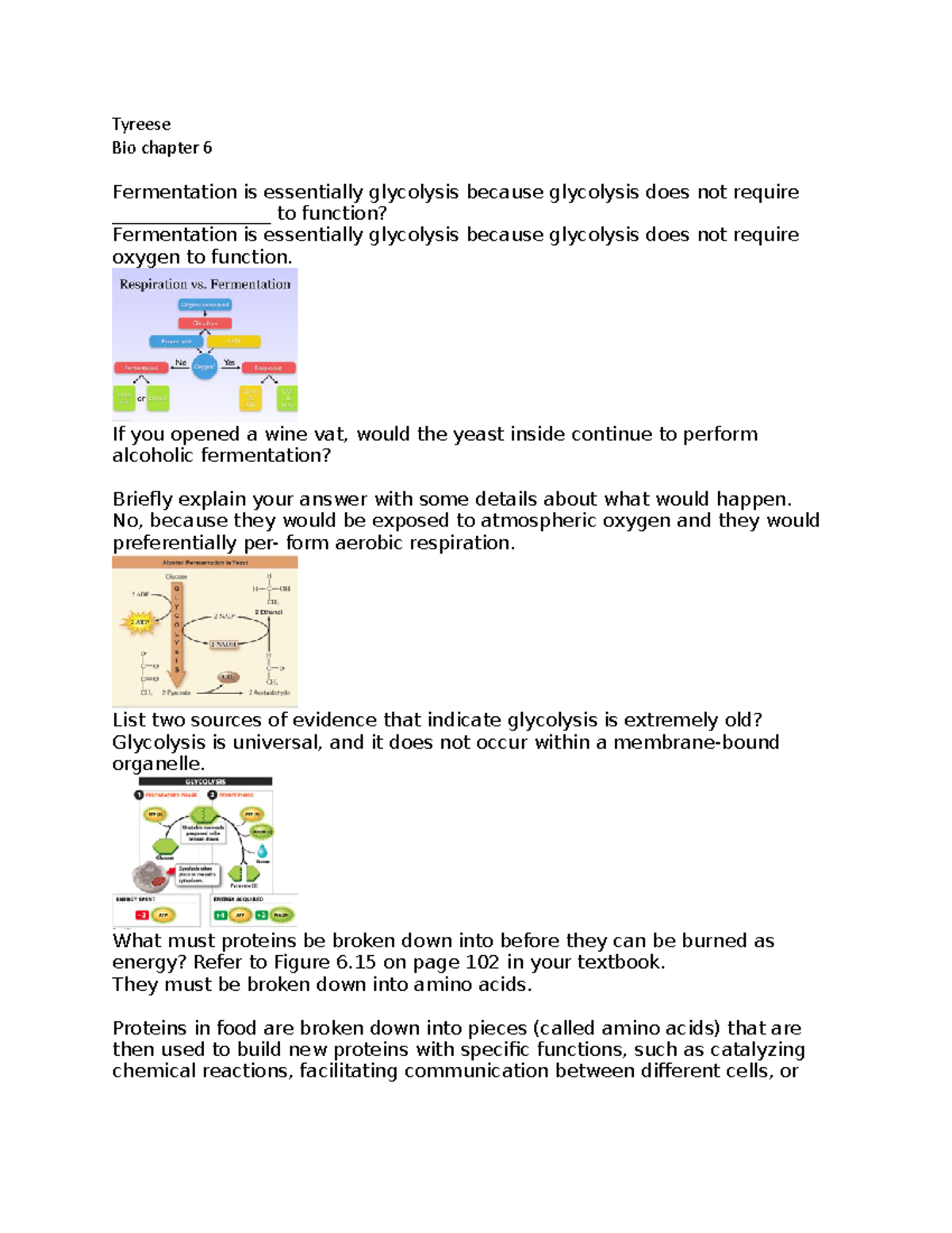 B13 good notes Tyreese Bio chapter 6 Fermentation is essentially
