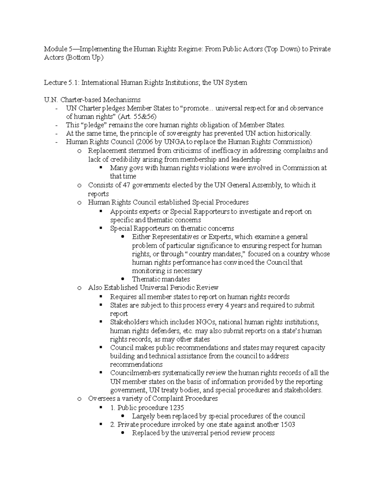 Module 5-Implementing the Human Rights Regime: From Public Actors (Top ...