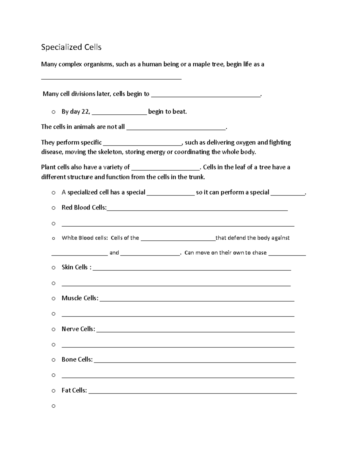 Specialized Cells Worksheet Specialized Cells Many Complex Organisms 