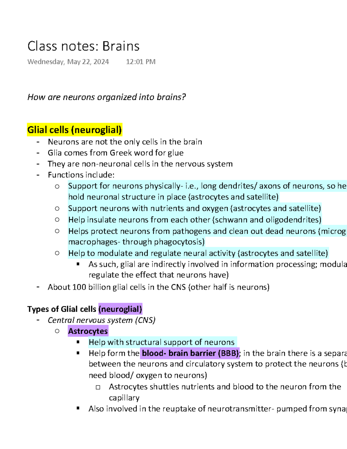Class notes Brains - How are neurons organized into brains? Glial cells ...