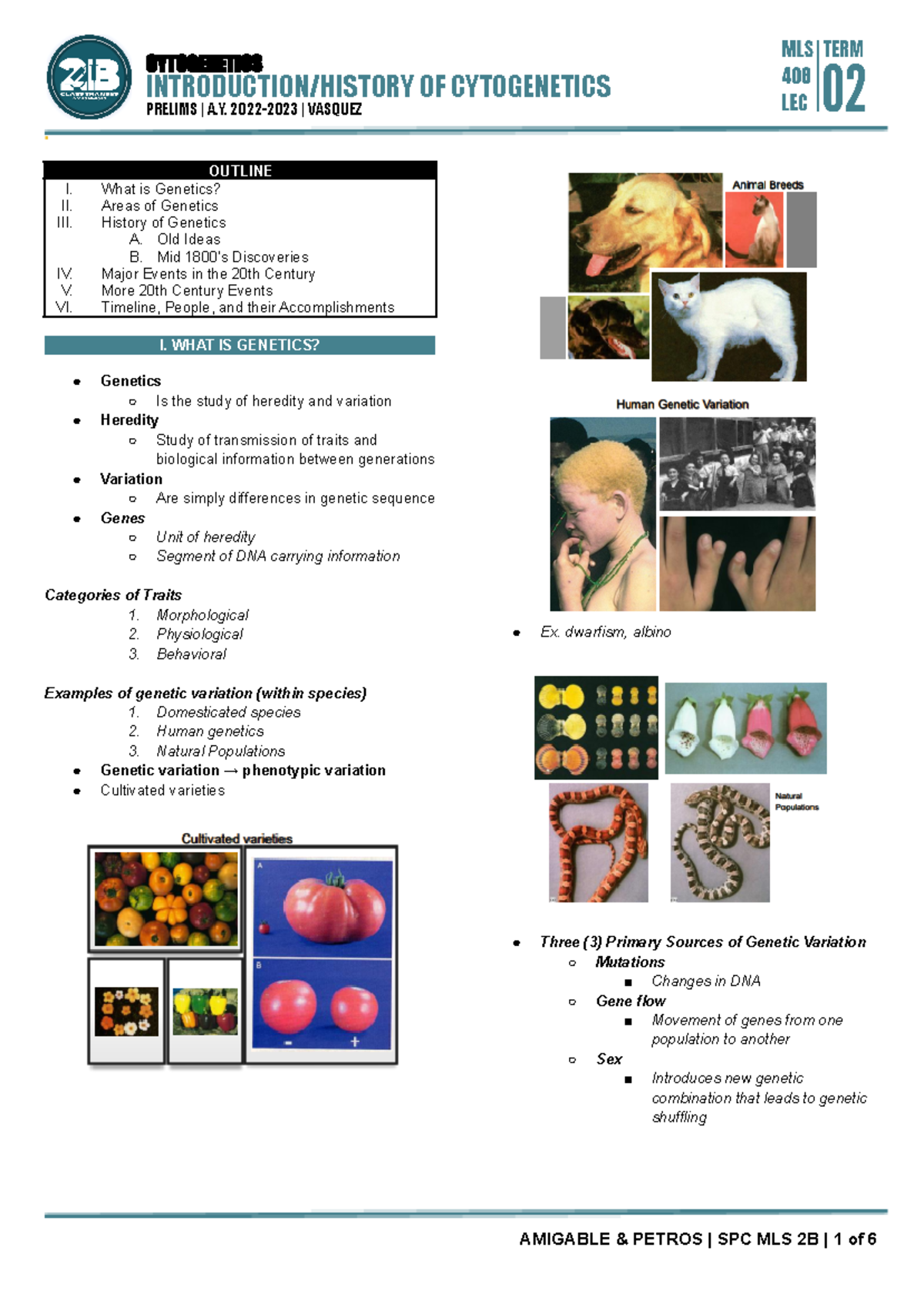 1. Introduction History OF Cytogenetics - SPC MLS 2B - Cytogenetics ...