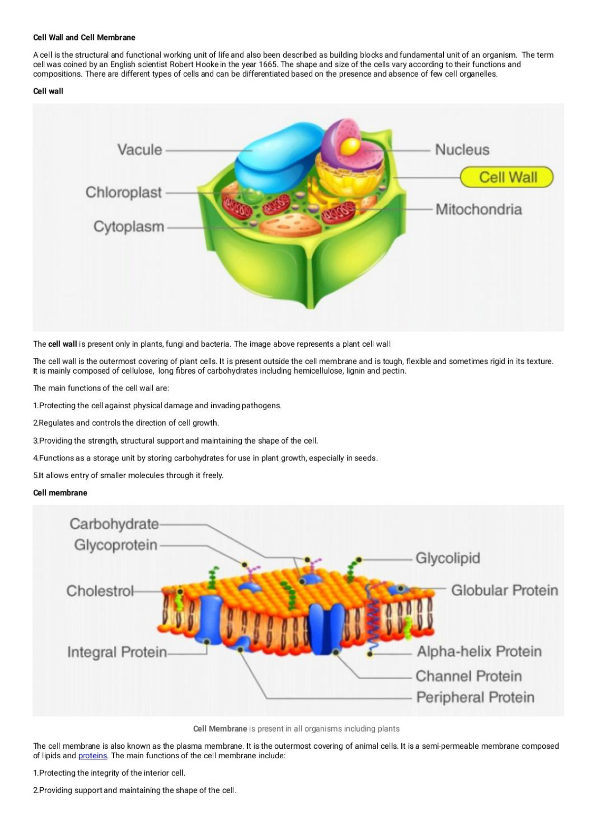 Cell Wall And Cell Membrane - Cell Biology - Studocu