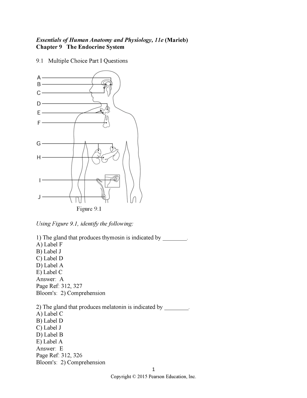 Ch 09 Test Bank - ANAPHY - 1 Essentials Of Human Anatomy And Physiology ...