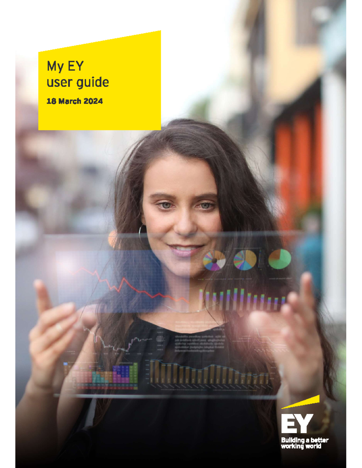 My EYUser Guide - Guia de Ey user en ingles - Economia Internacional ...