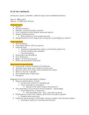 BZ 212 Rouphozoa - Inverts Notes - BZ 212 Rouphozoa Rouphozoa Phylum ...