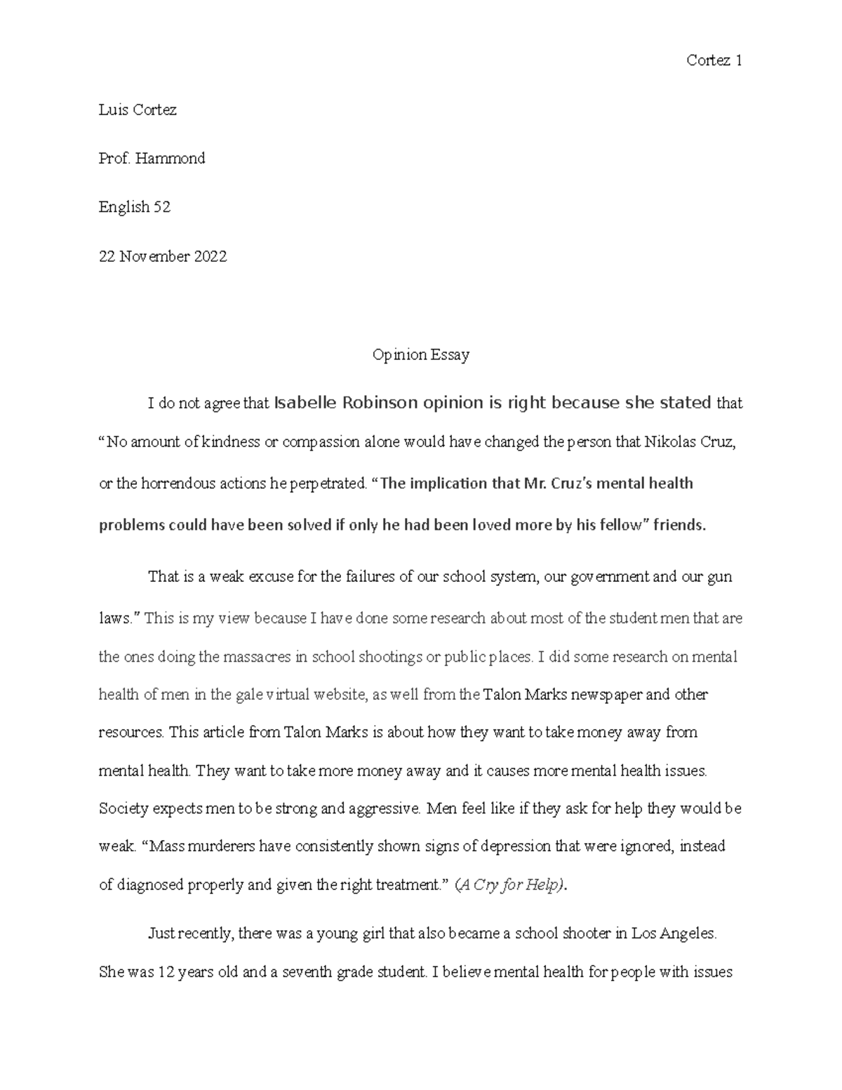 opinion essay essay