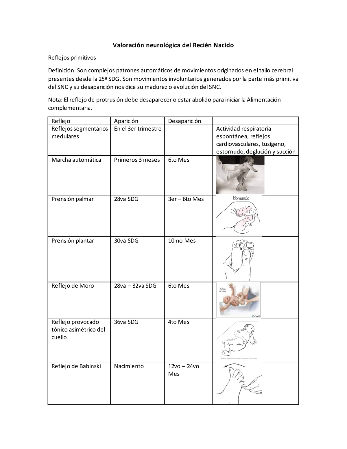 Reflejos Primitivos - ValoraciÛn NeurolÛgica Del ReciÈn Nacido Reflejos ...