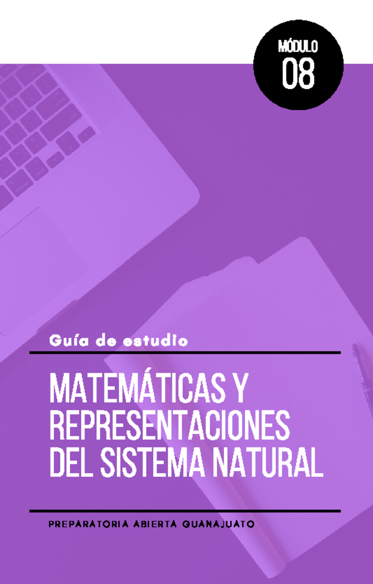 M OFIC 8 - guia de apoyo - MATEMÁTICAS Y REPRESENTACIONES DEL SISTEMA ...