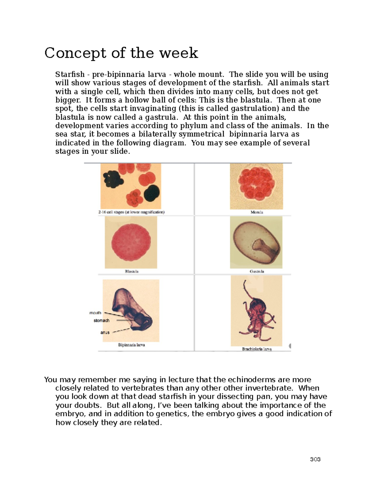 Lab 8 Echinoderm lab - Worksheet for zoology - Concept of the week ...