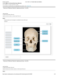 BIO 201 - NU - Human Anatomy & Physiol Lab I - Studocu