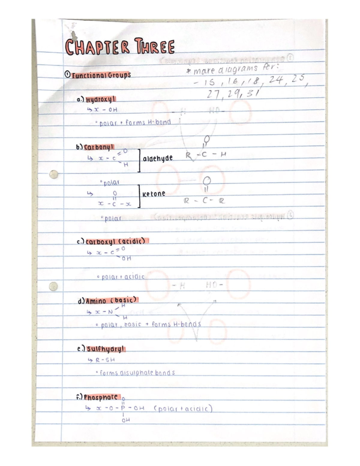 Chapter 3 - Handwritten notes - MLB 111 - Studocu