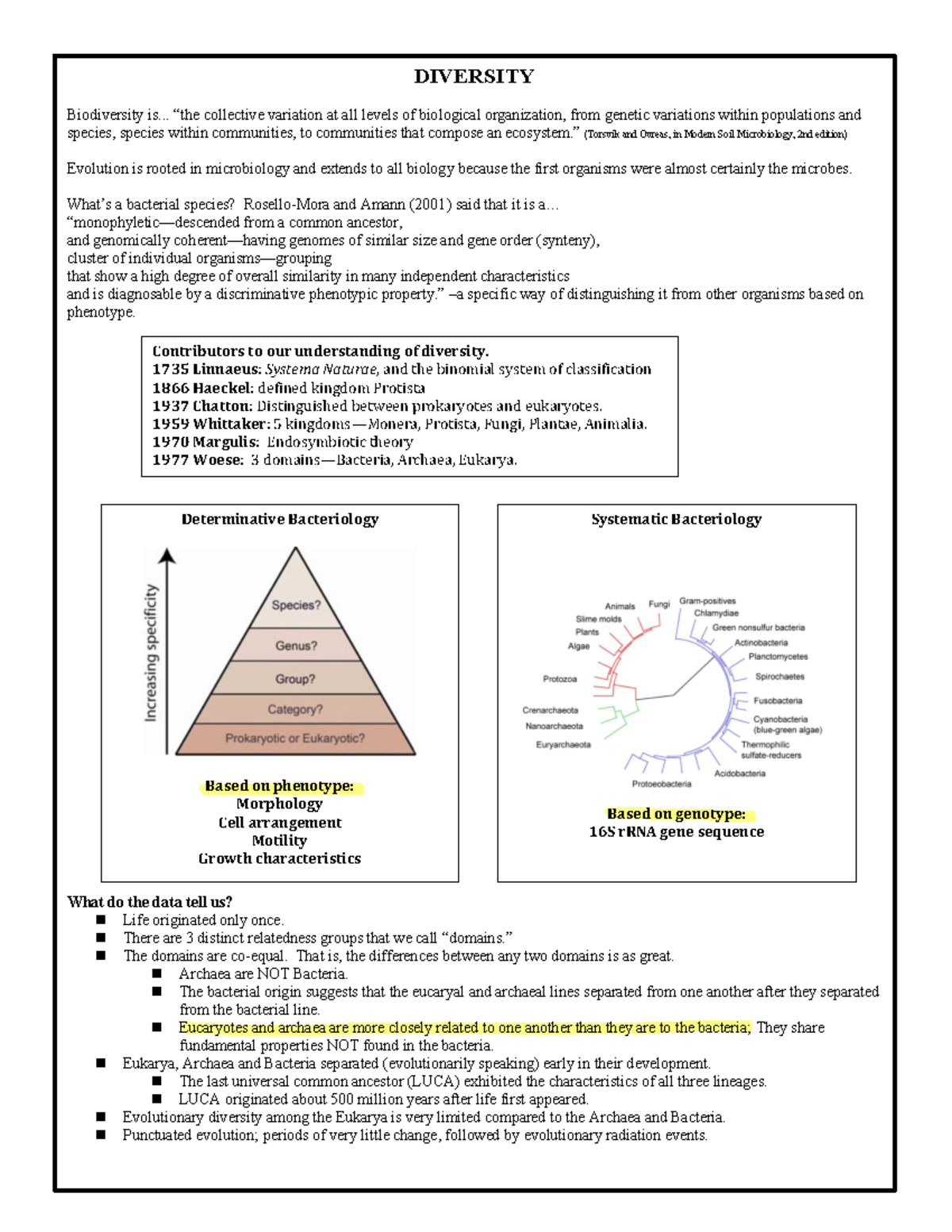 Cheat Sheet 10+Diversity - DIVERSITY Biodiversity is... “the collective ...