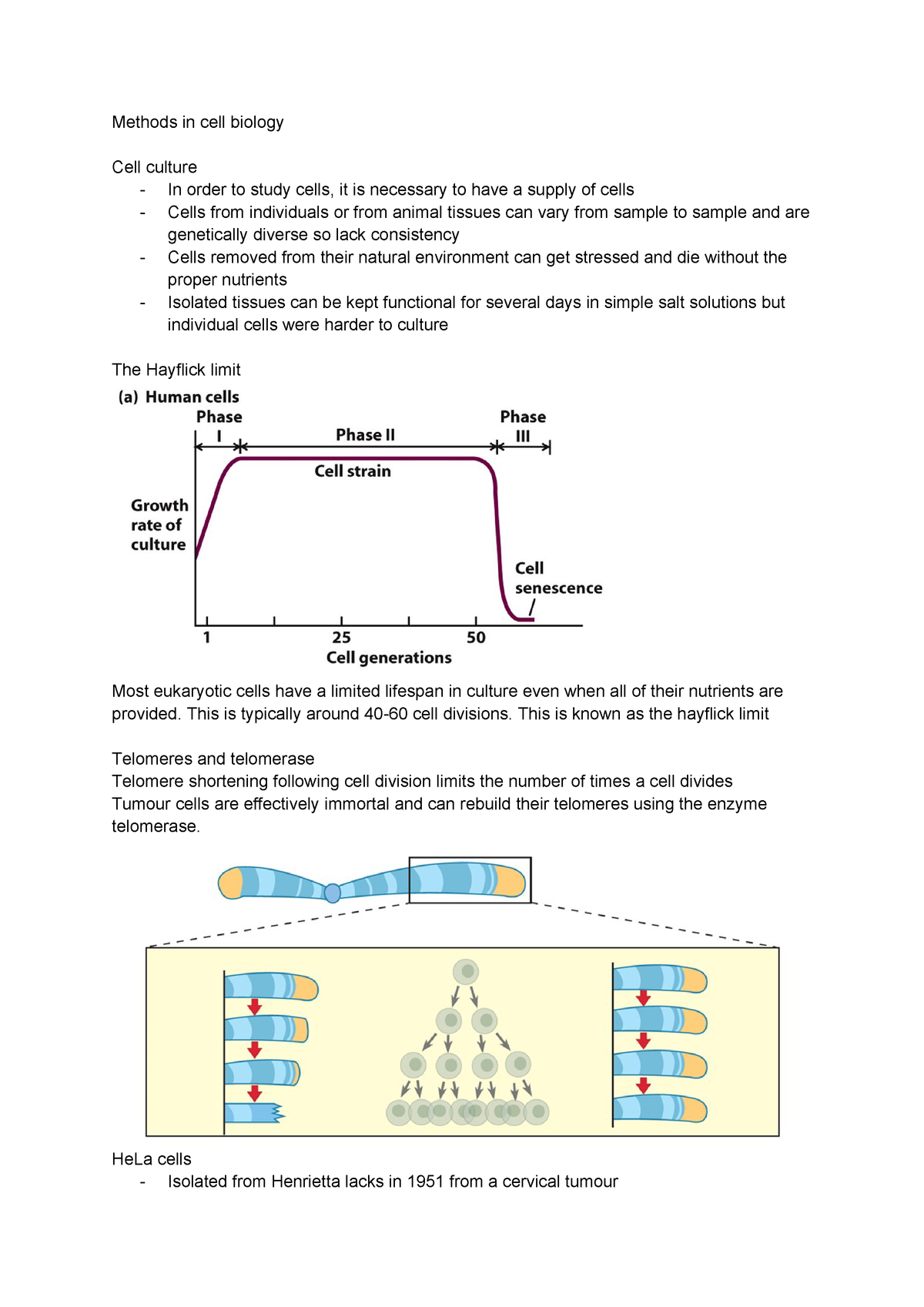 Cell Biology Methods Bi1bec1 Reading Methods In Cell Biology Cell Culture In Studocu