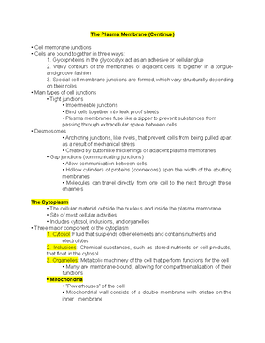 Chapter 6 The Muscular System - Chapter 6 The Muscular System The ...